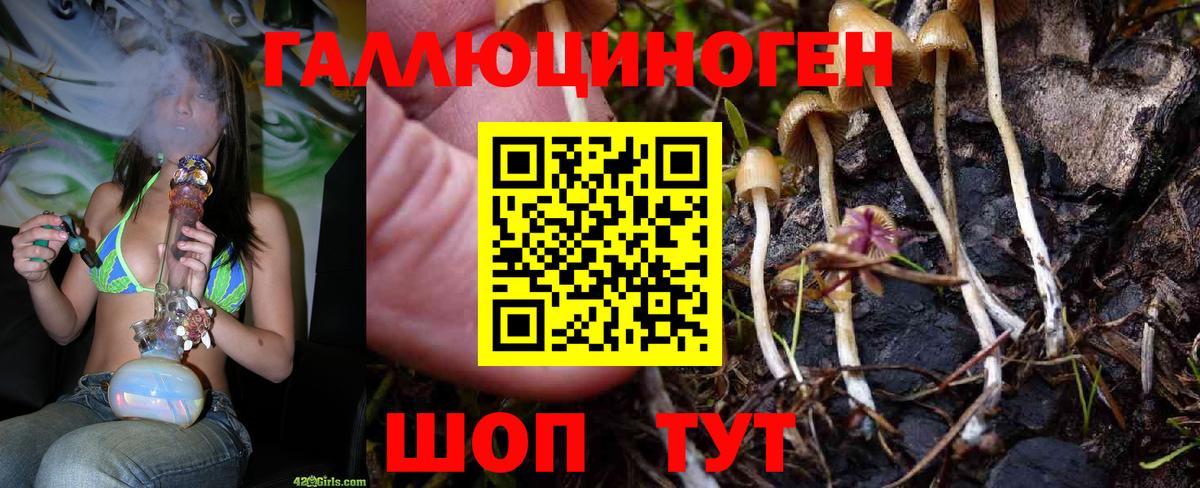Карталы  купить наркотик  Псилоцибиновые грибы мухоморы  Вход с VPN  Галлюциногенные грибы Psilocybine cubensis 